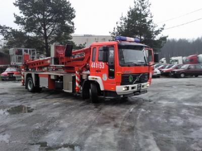 Chorula-pochylone drzewo 1