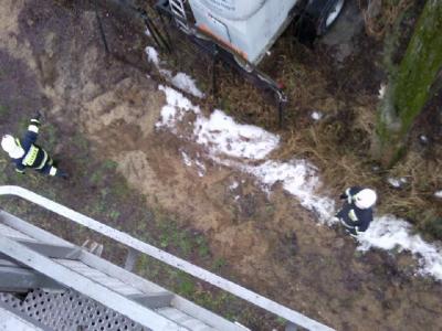 Chorula-pochylone drzewo 6