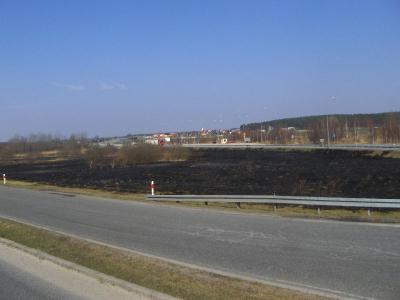 28.03 Gogolin - Pożar traw A4
