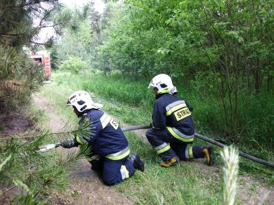 pozar lasu 24.05 003