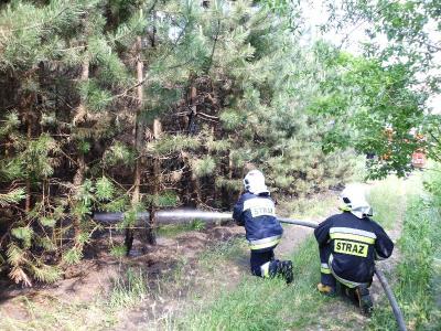 pozar lasu 24.05 004